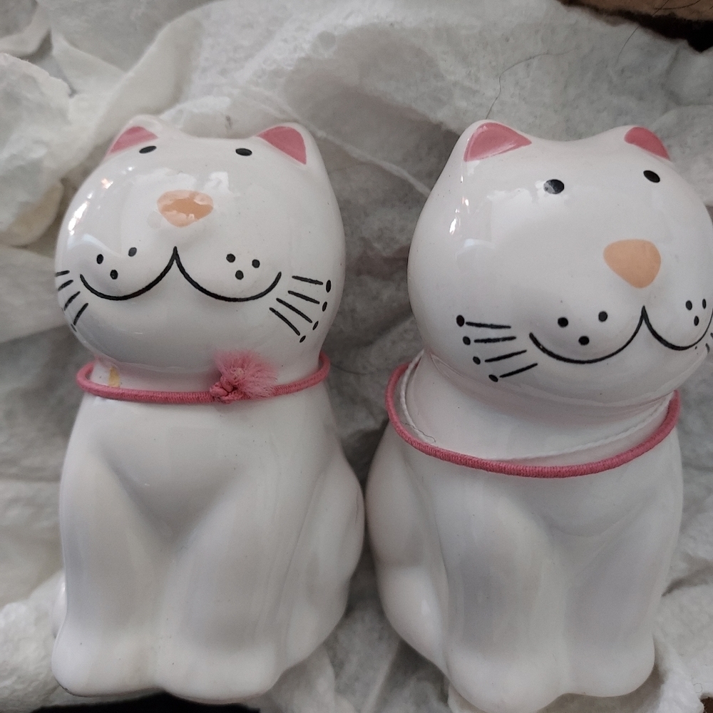 Cat salt and pepper shakers set